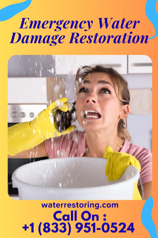 Emergency Water Damage Restoration in Onancock, VA