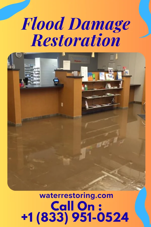 Flood Damage Restoration in Onancock, VA