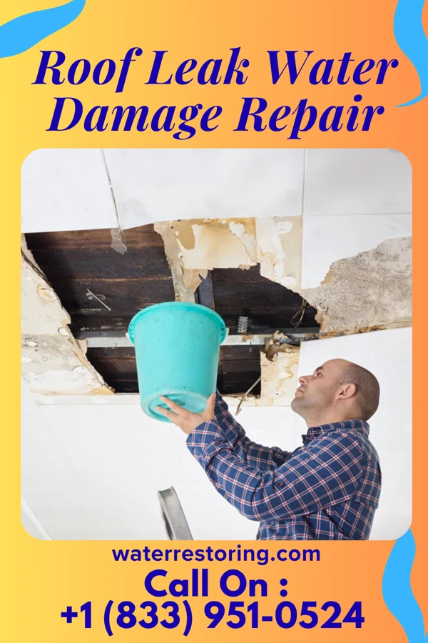 Roof Leak Water Damage Repair in Onancock, VA