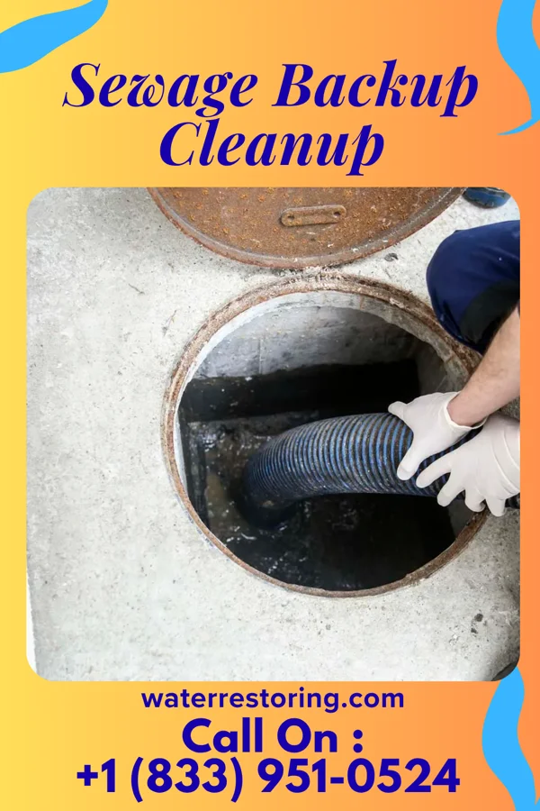 Sewage Backup Cleanup in Onancock, VA