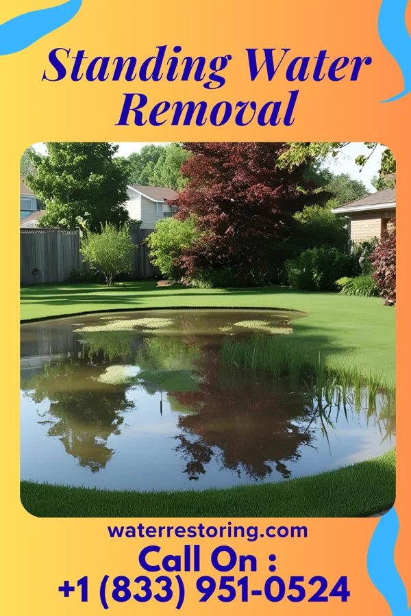 Standing Water Removal in Onancock, VA